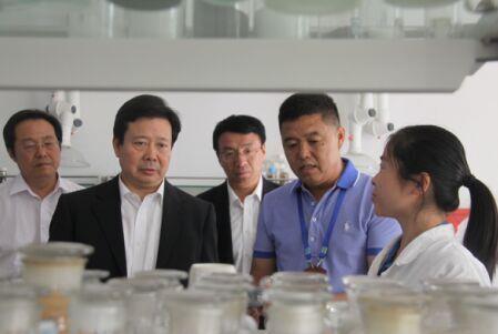 加大创新力度 运用互联网开拓市场 提升企业核心竞争力 ——山东省委常委、青岛市委书记李群莅临华体育app官网入口考察