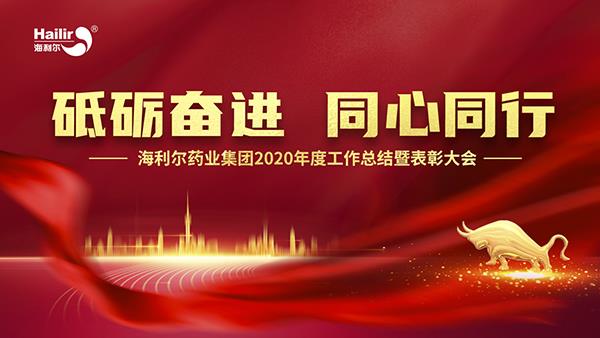 砥砺奋进 同心同行 | 华体育app官网入口药业集团2020年度工作总结暨表彰大会隆重召开